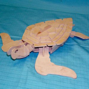 Laser Cutting Designs for tortoise