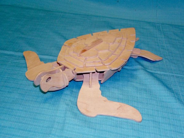 Laser Cutting Designs for tortoise